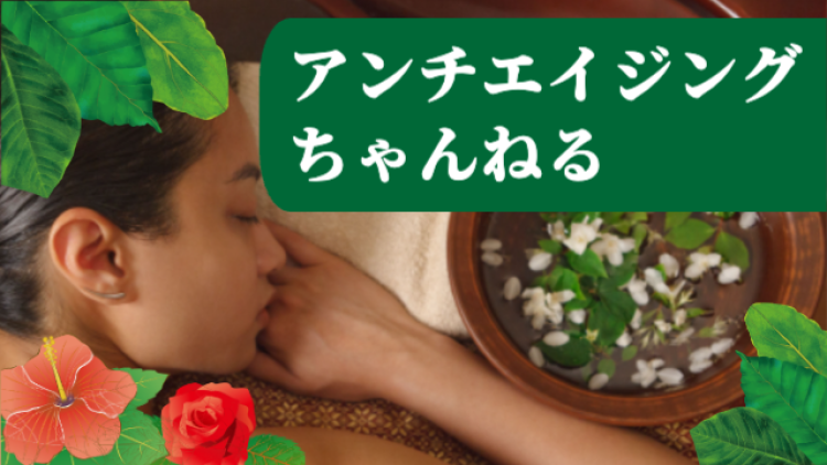 cook 今日なに作ろ？